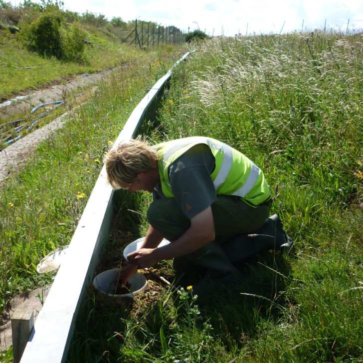 newt-fence-check newt-fence-check