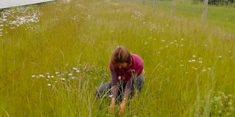 solar_monitoring_methodology