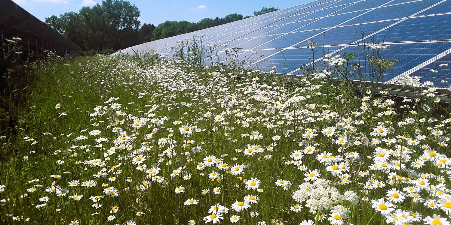 solarview_report_2022 solarview_2022