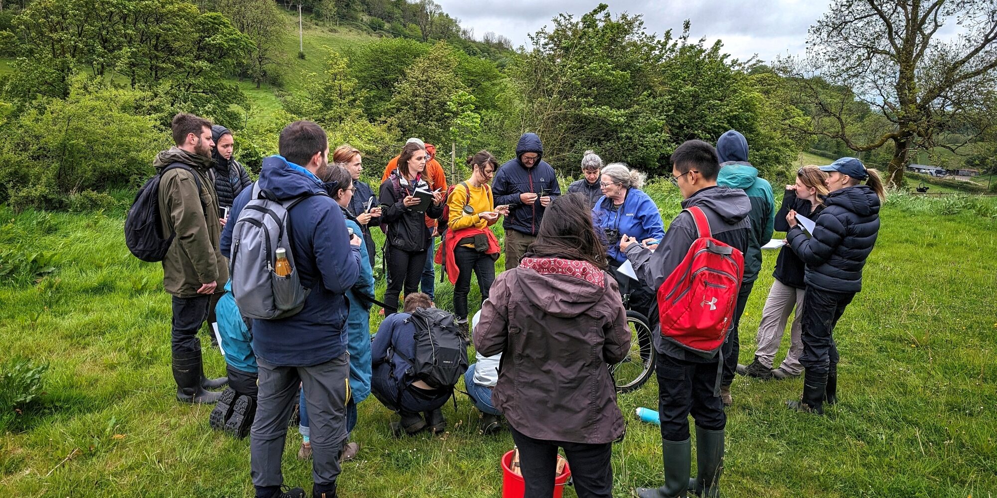 Job vacancy job vacancies