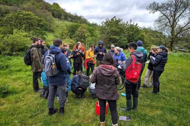 Job vacancy job vacancies